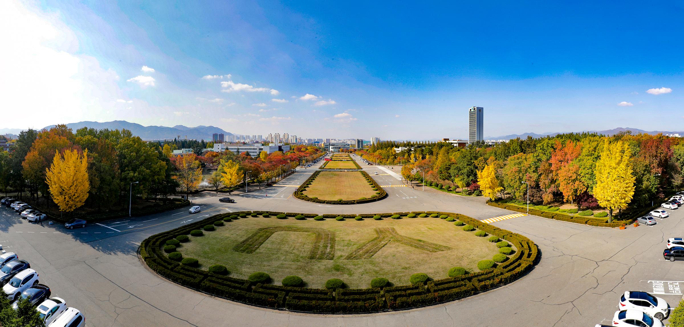 영남대학교 글로벌평생교육원